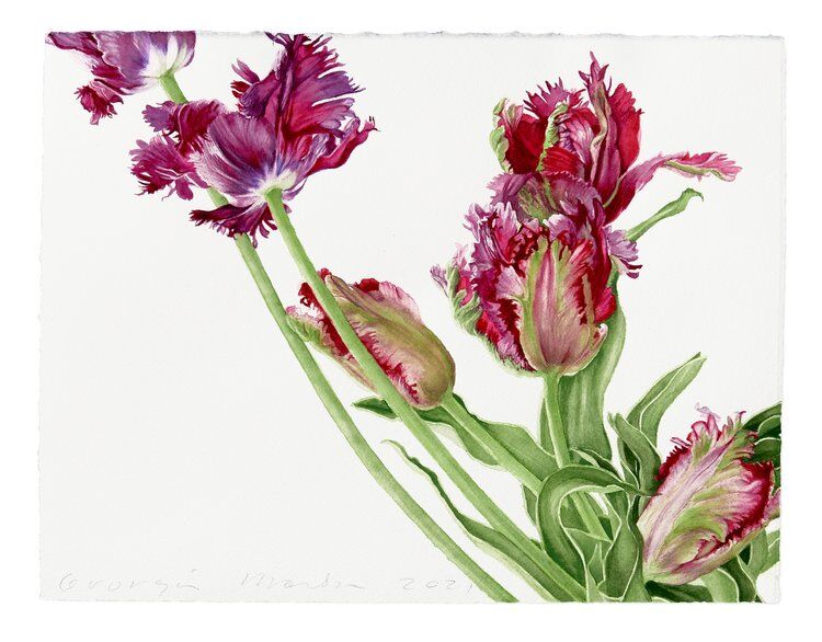 Nantucket Wildflowers: Watercolor Painting, 18+